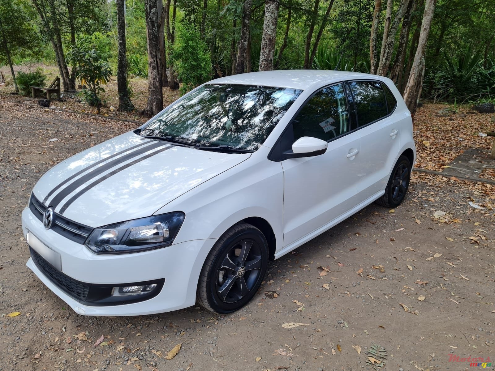 2010' Volkswagen Polo photo #3