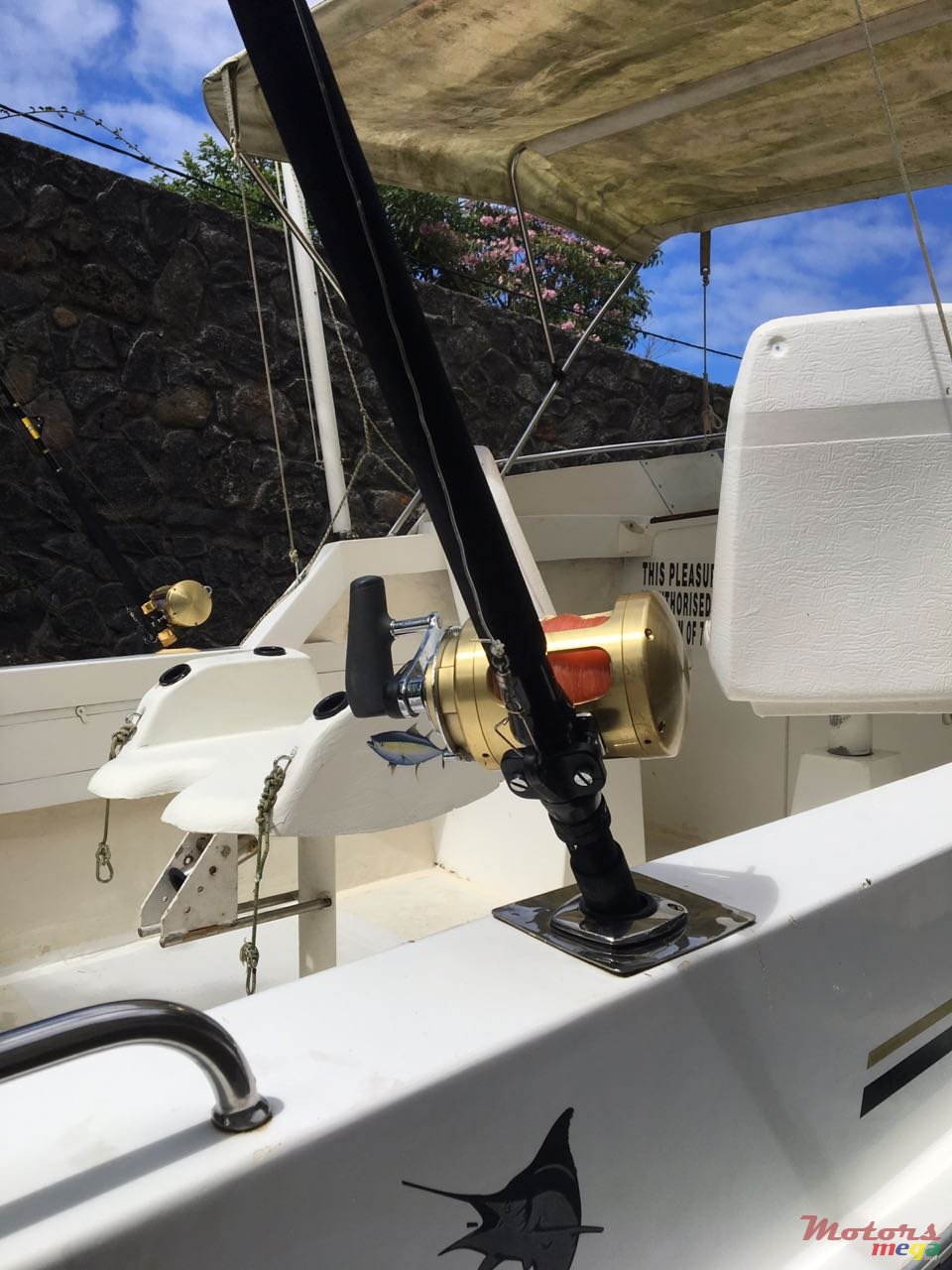 2008' Custom Line photo #2