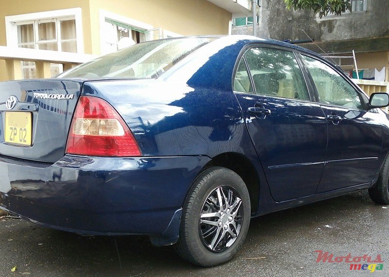 2002' Toyota Corolla photo #3