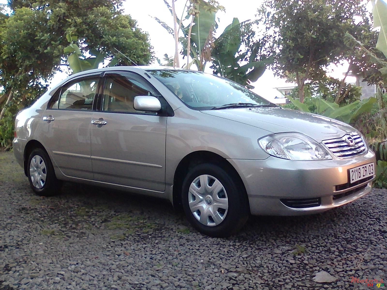 2003' Toyota Corolla photo #2