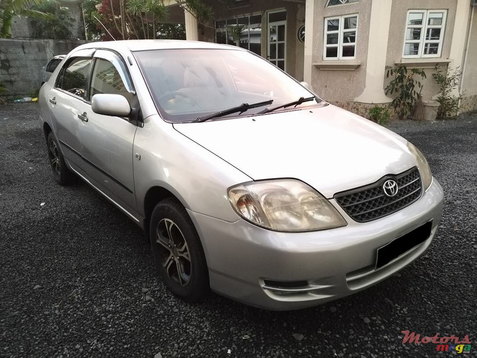 2004' Toyota Corolla NZE photo #1