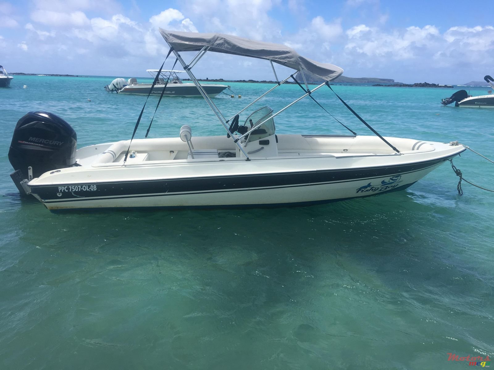 2012' Cobra photo #5