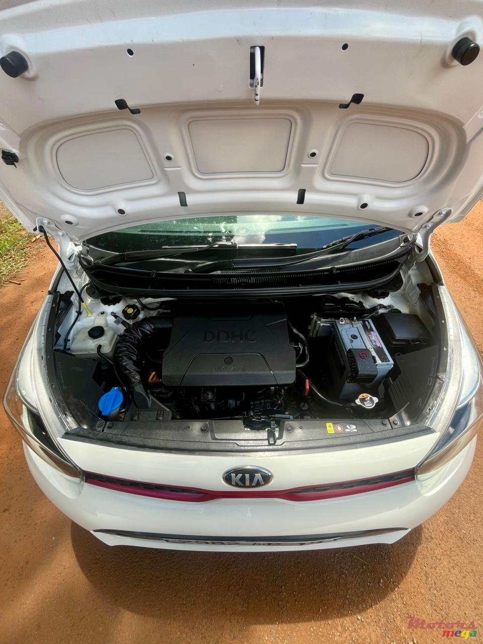 2019' Kia Picanto photo #3