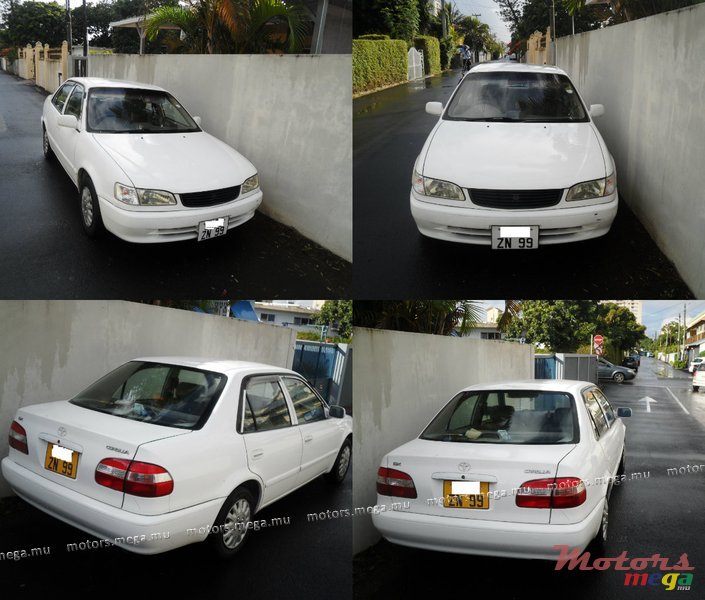 1999' Toyota Corolla photo #1