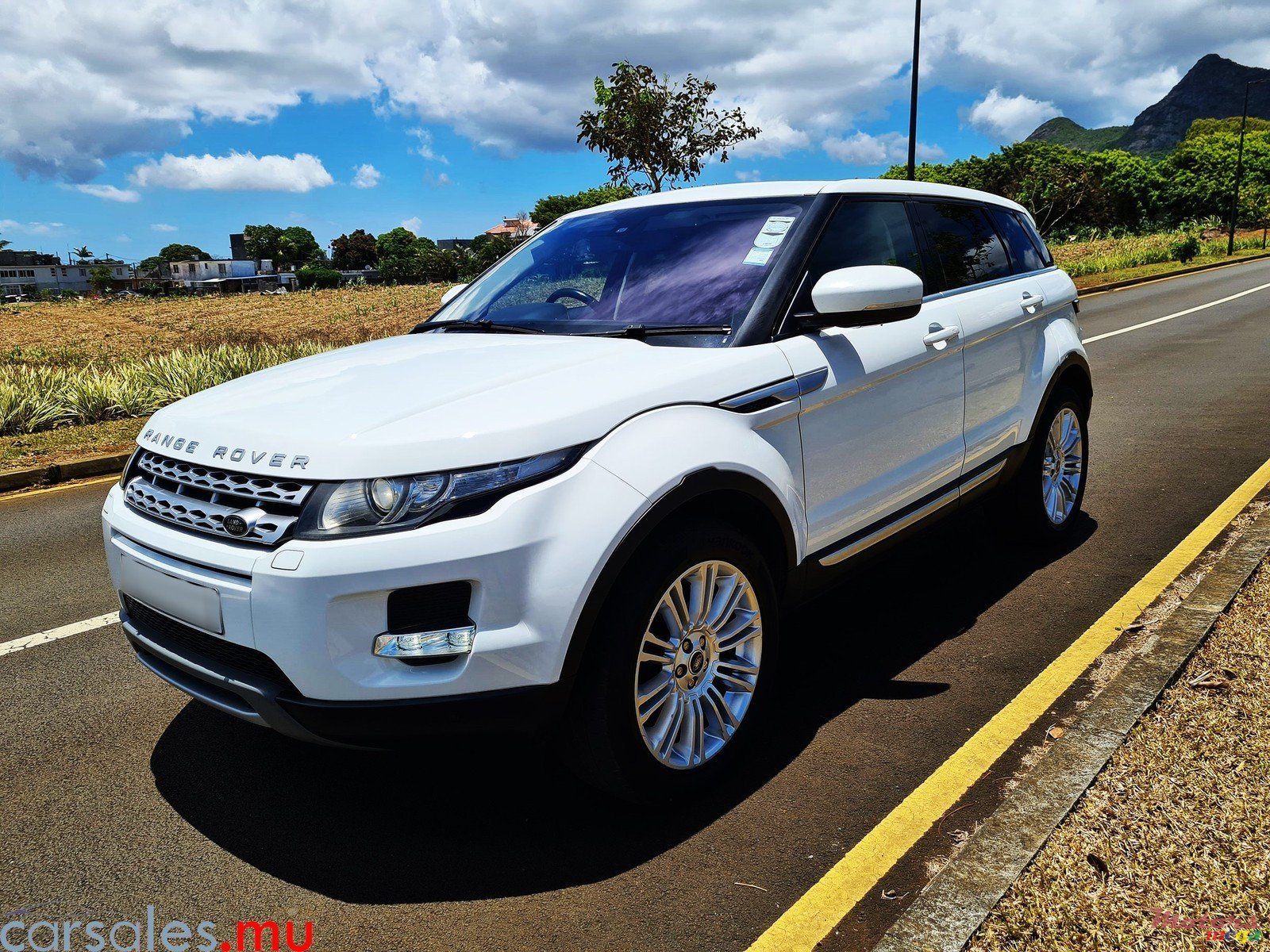 2014' Land Rover Range Rover Evoque 2.0 Si4 photo #2