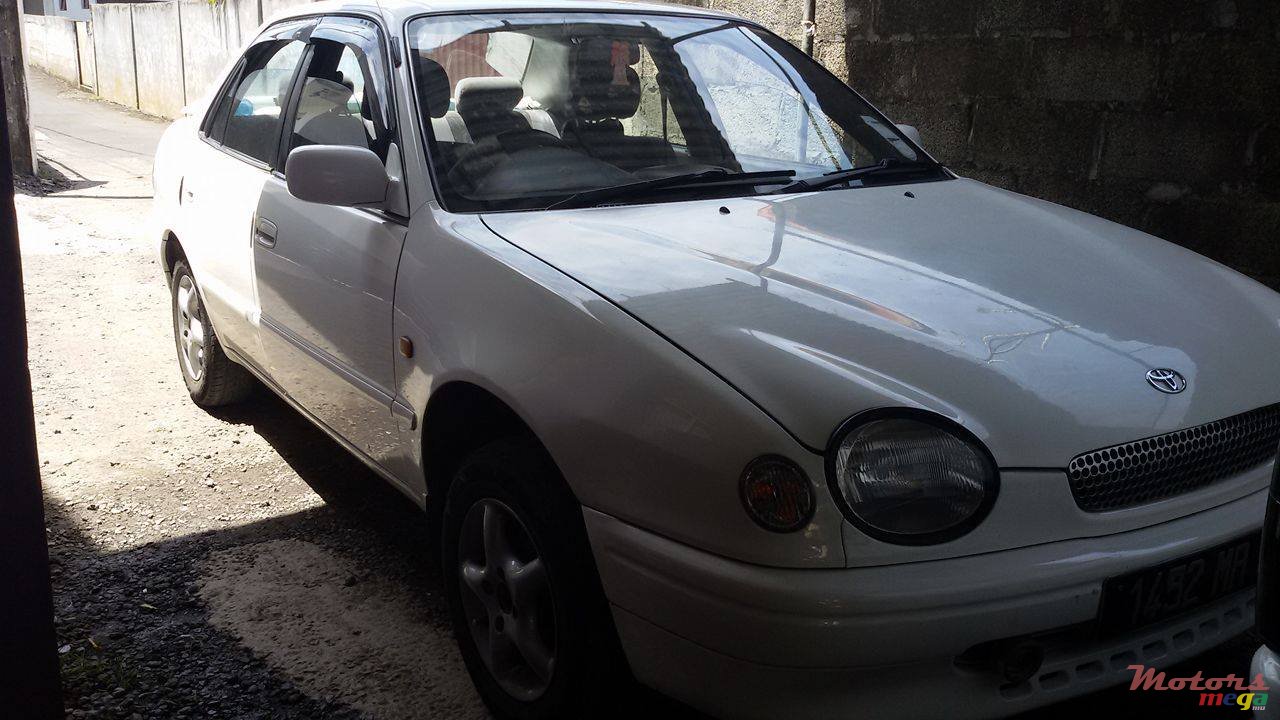 1998' Toyota Corolla photo #1