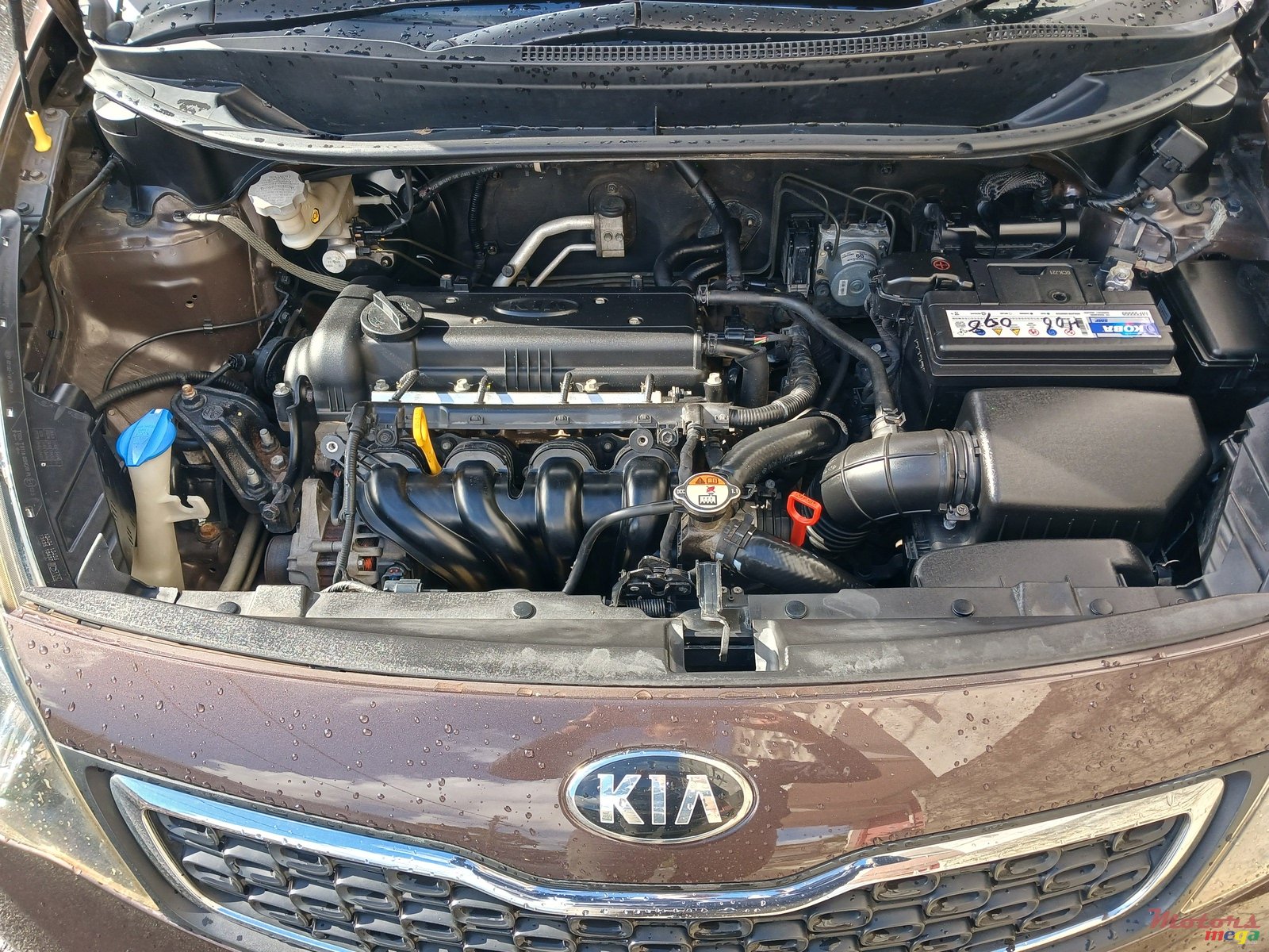 2013' Kia Rio photo #5