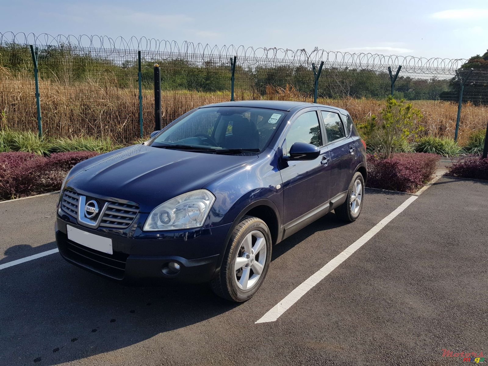 2008' Nissan Qashqai photo #2