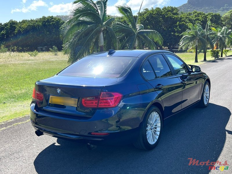2013' BMW 316 photo #4