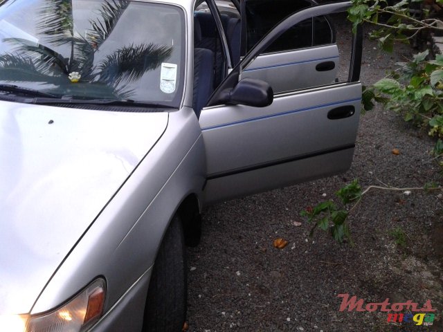 1997' Toyota Corolla 0 photo #5