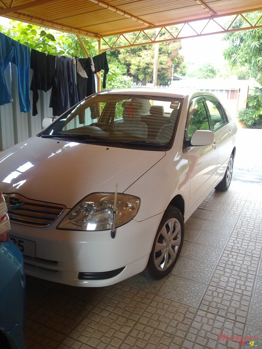 2004' Toyota Corolla nze 121 photo #1