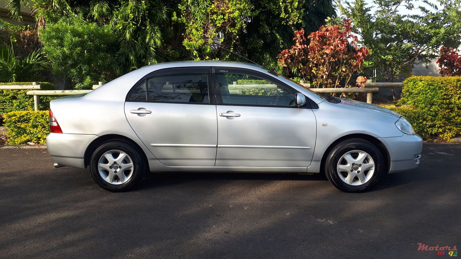 2004' Toyota Corolla photo #3