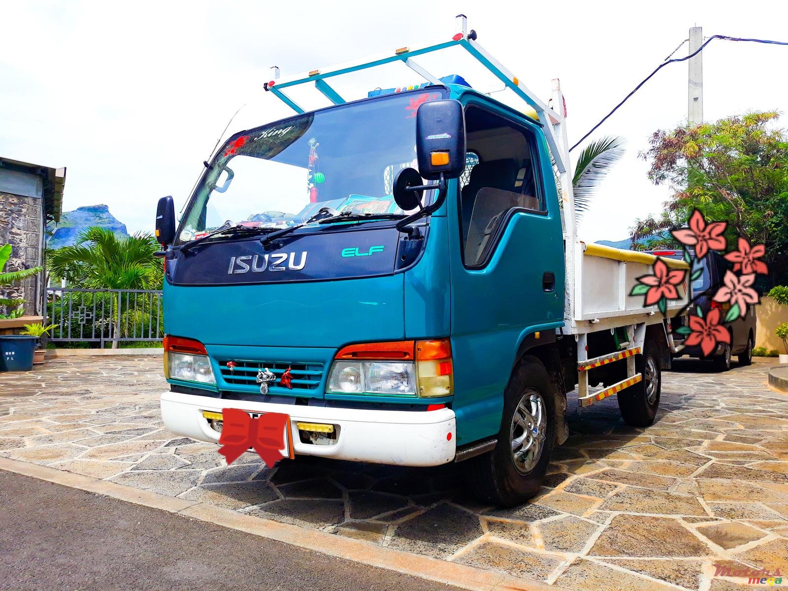 2001' Isuzu photo #2