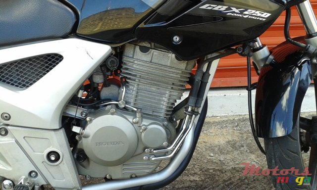 2009' Honda CBX250 TWISTER photo #2
