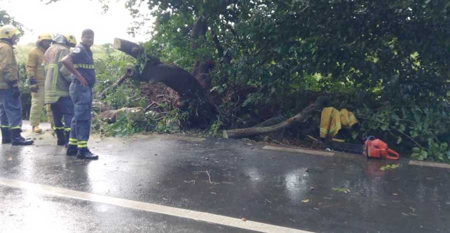 Chute d’arbres: les interventions se poursuivent toujours…