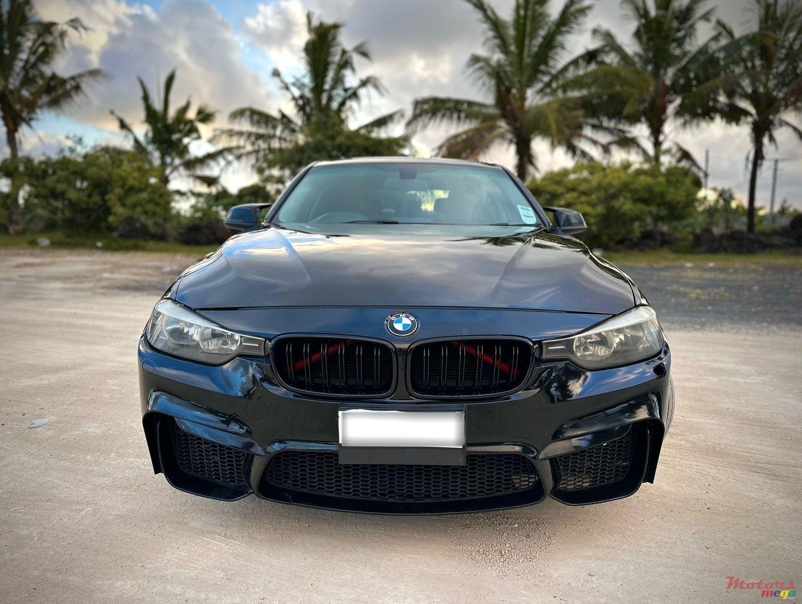 2013' BMW 320 photo #2