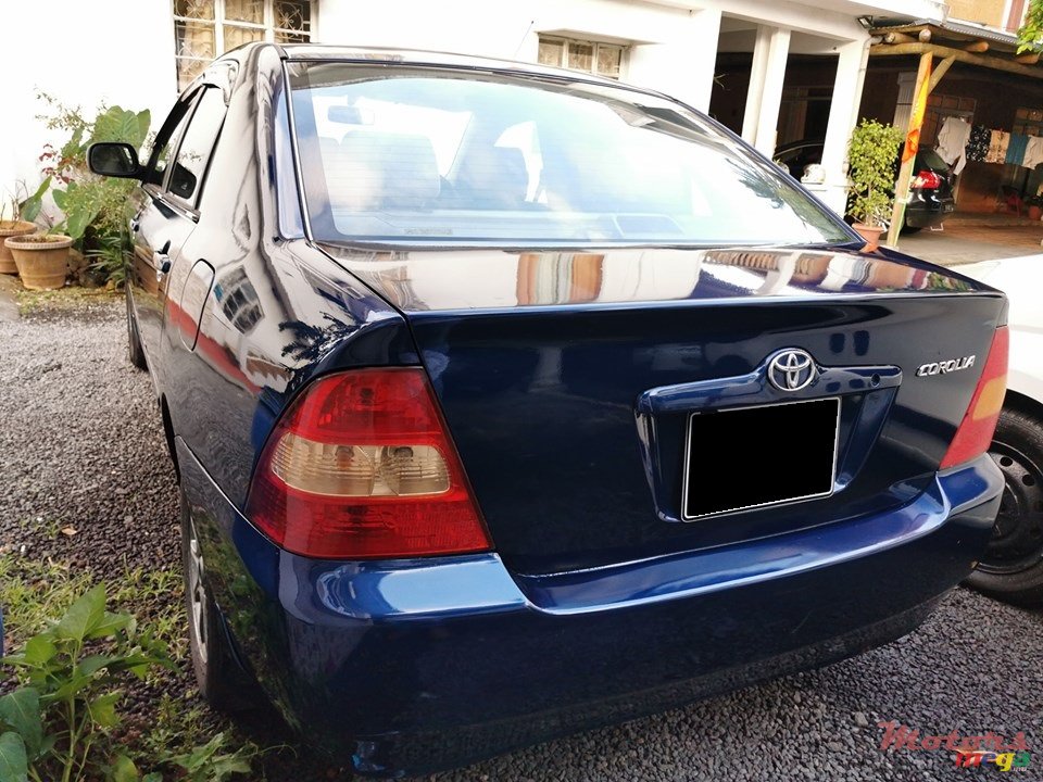 2002' Toyota Corolla NZE photo #3