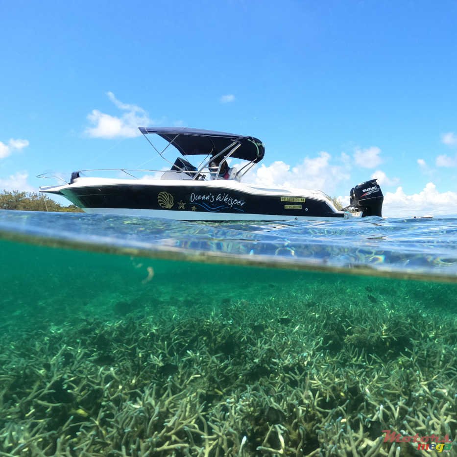 2011' Legend OV CC 28 photo #1