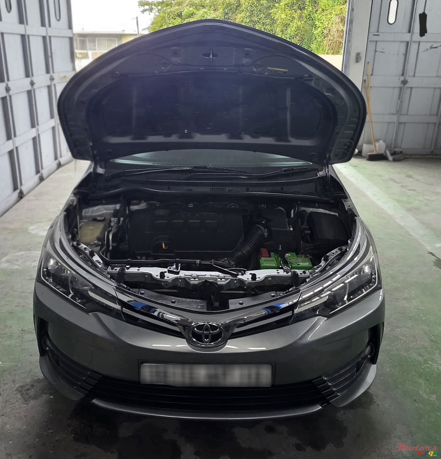 2019' Toyota Corolla photo #7