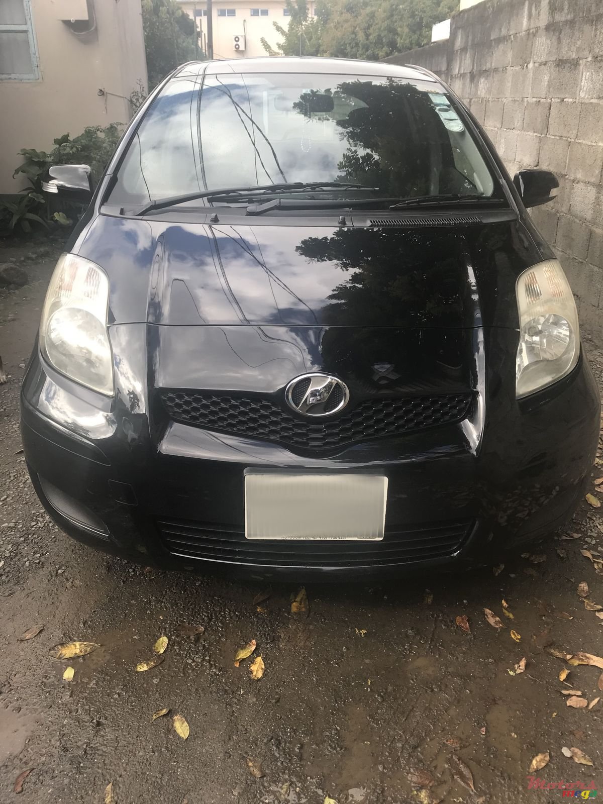 2009' Toyota Vitz photo #1