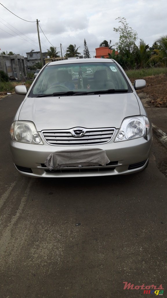 2003' Toyota Corolla NZE photo #1