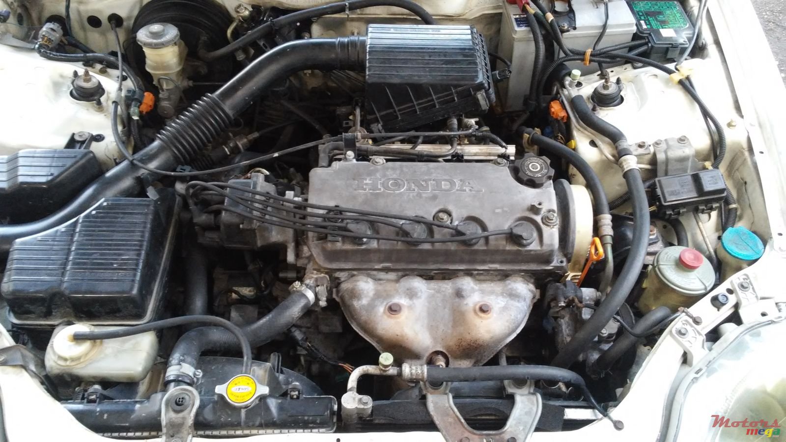 2000' Honda Civic photo #6