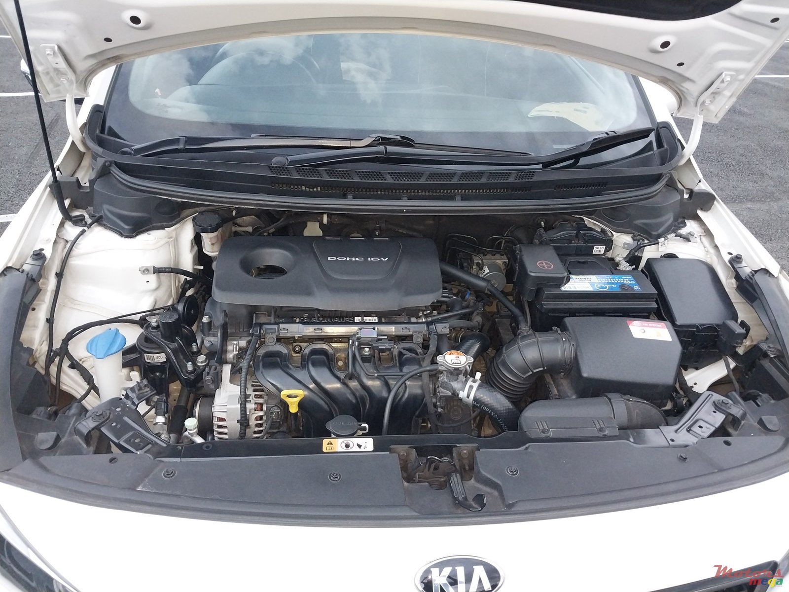2017' Kia photo #7