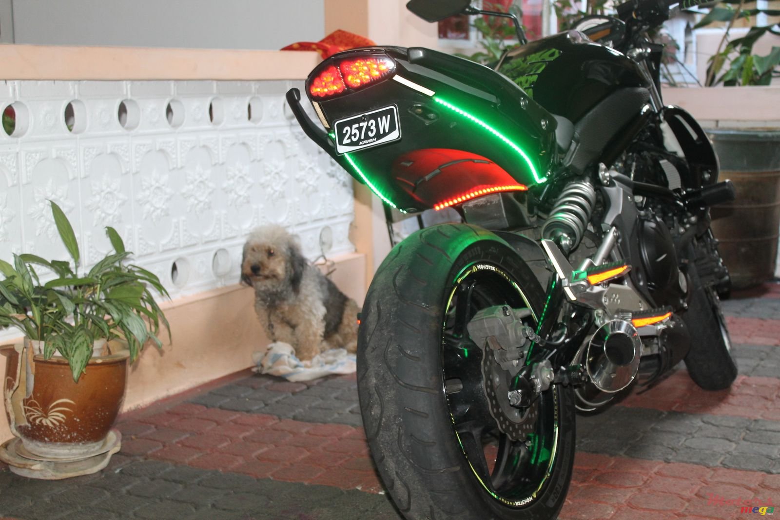 2011' Kawasaki photo #3