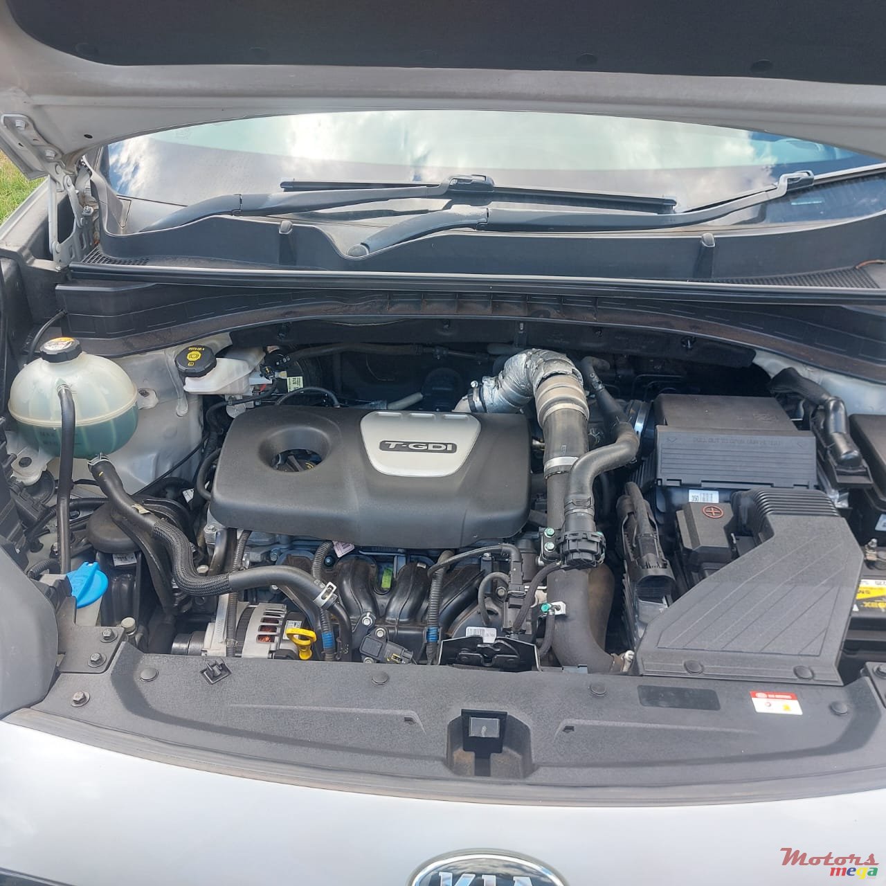 2020' Kia photo #1