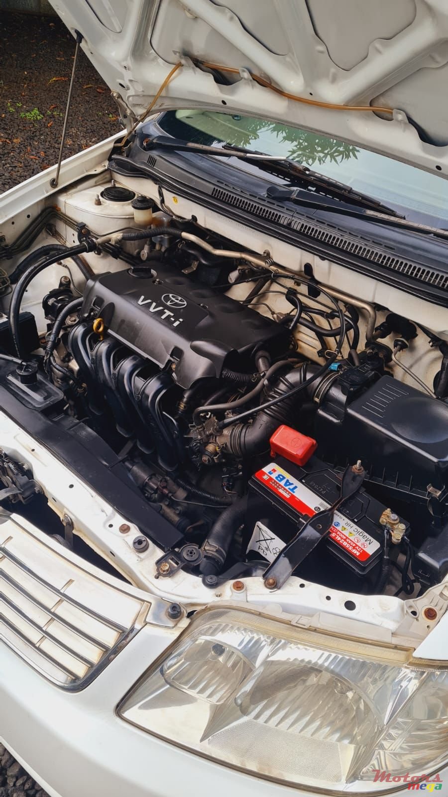 2004' Toyota Corolla photo #6