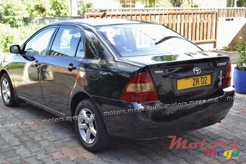 2002' Toyota Corolla NZE photo #5