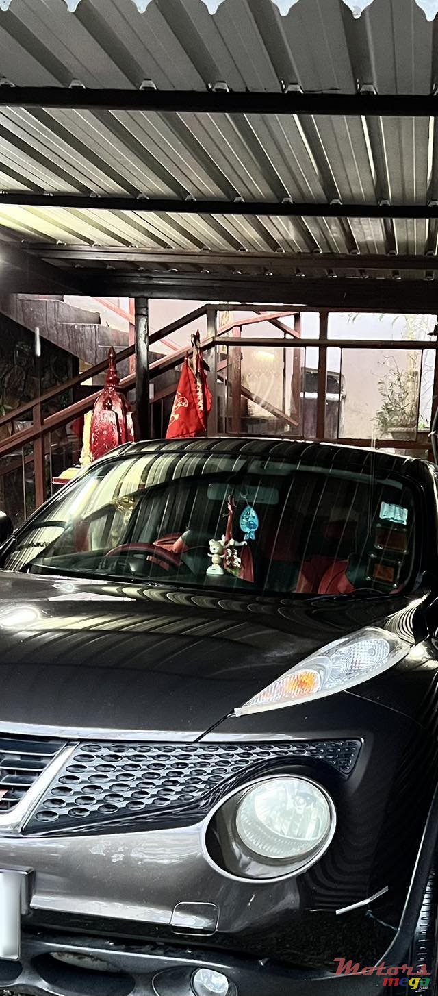 2012' Nissan Juke photo #2