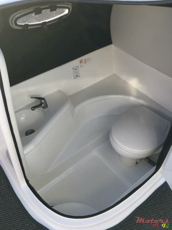 2013' Sunsation photo #5