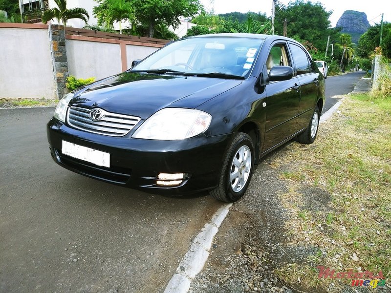 2004' Toyota Corolla Nze GLI Luxel photo #2