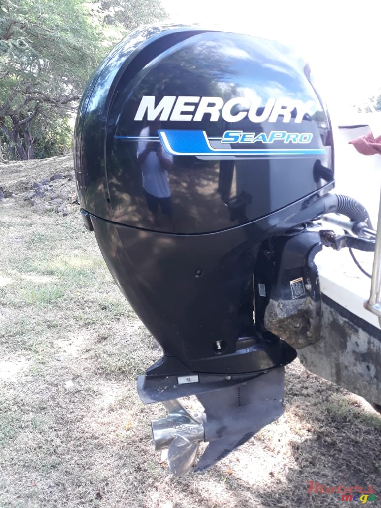 2016' Mercury SeaPro photo #1