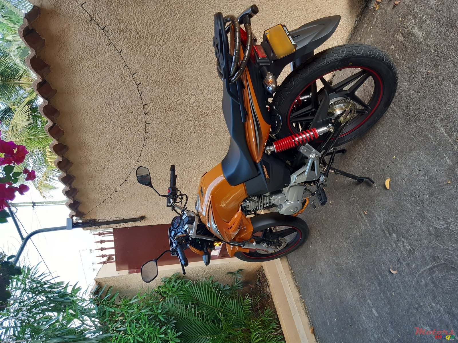 2019' Jailing tow wheeler photo #2