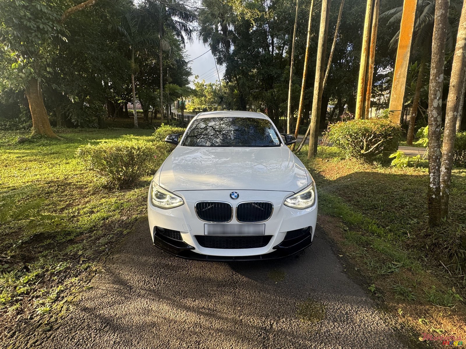 2014' BMW 116i photo #2