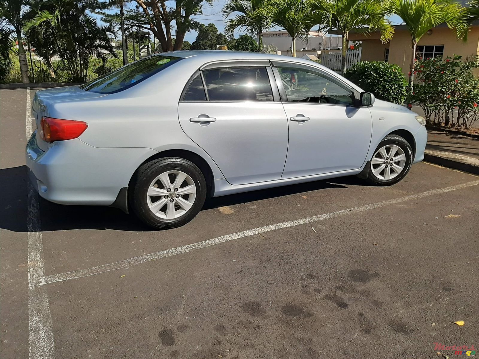 2008' Toyota Corolla photo #1