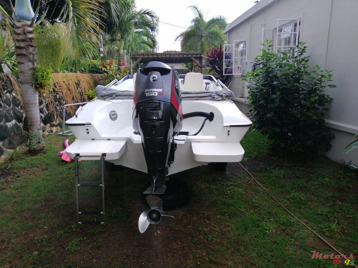 2007' Cobra photo #3