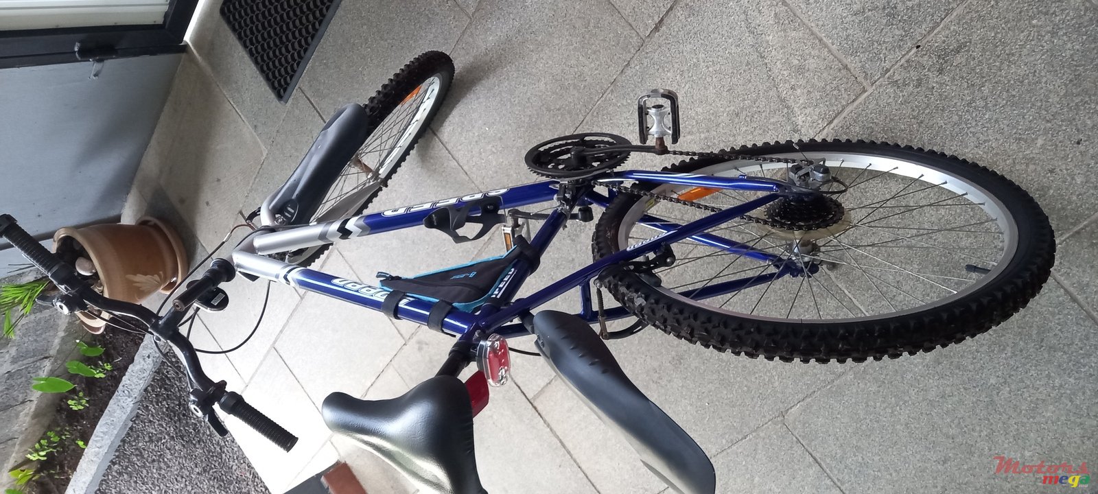 2021' Speed Gear photo #1