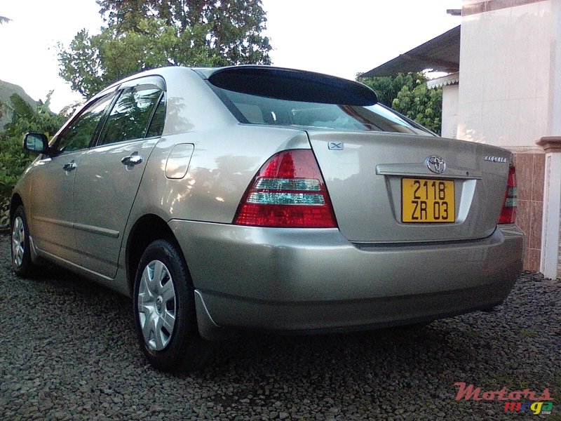 2003' Toyota Corolla photo #3