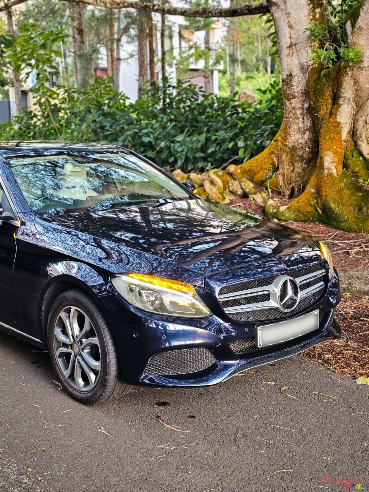 2016' Mercedes-Benz 350 Hybrid photo #6