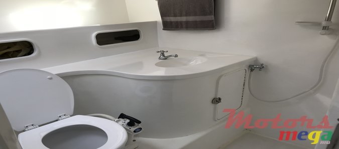 1994' Splendor photo #5