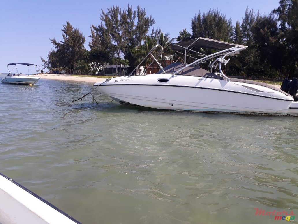 2016' Sunsation photo #1