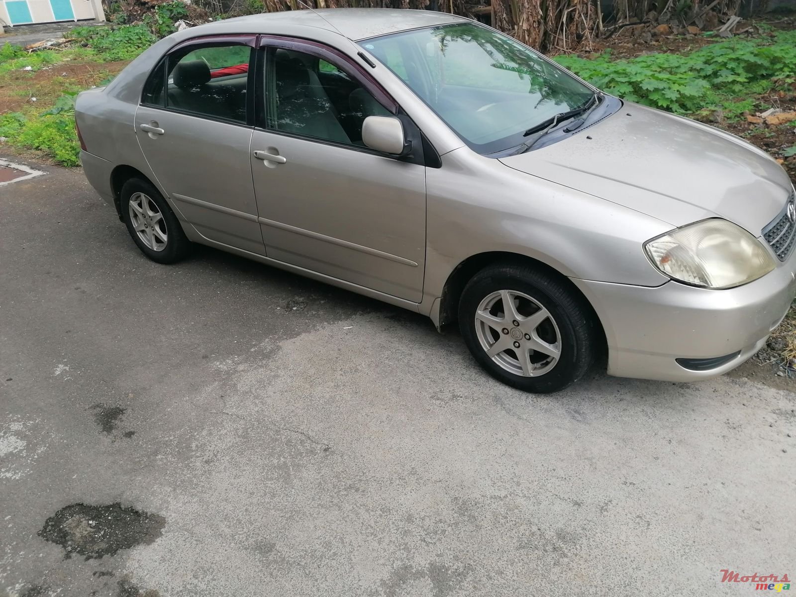 2001' Toyota Corolla photo #2