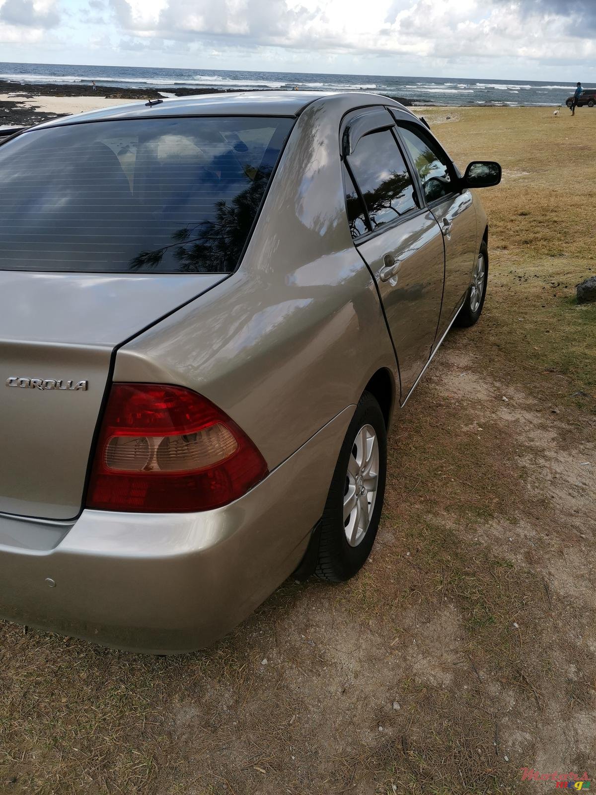 2002' Toyota Corolla photo #4