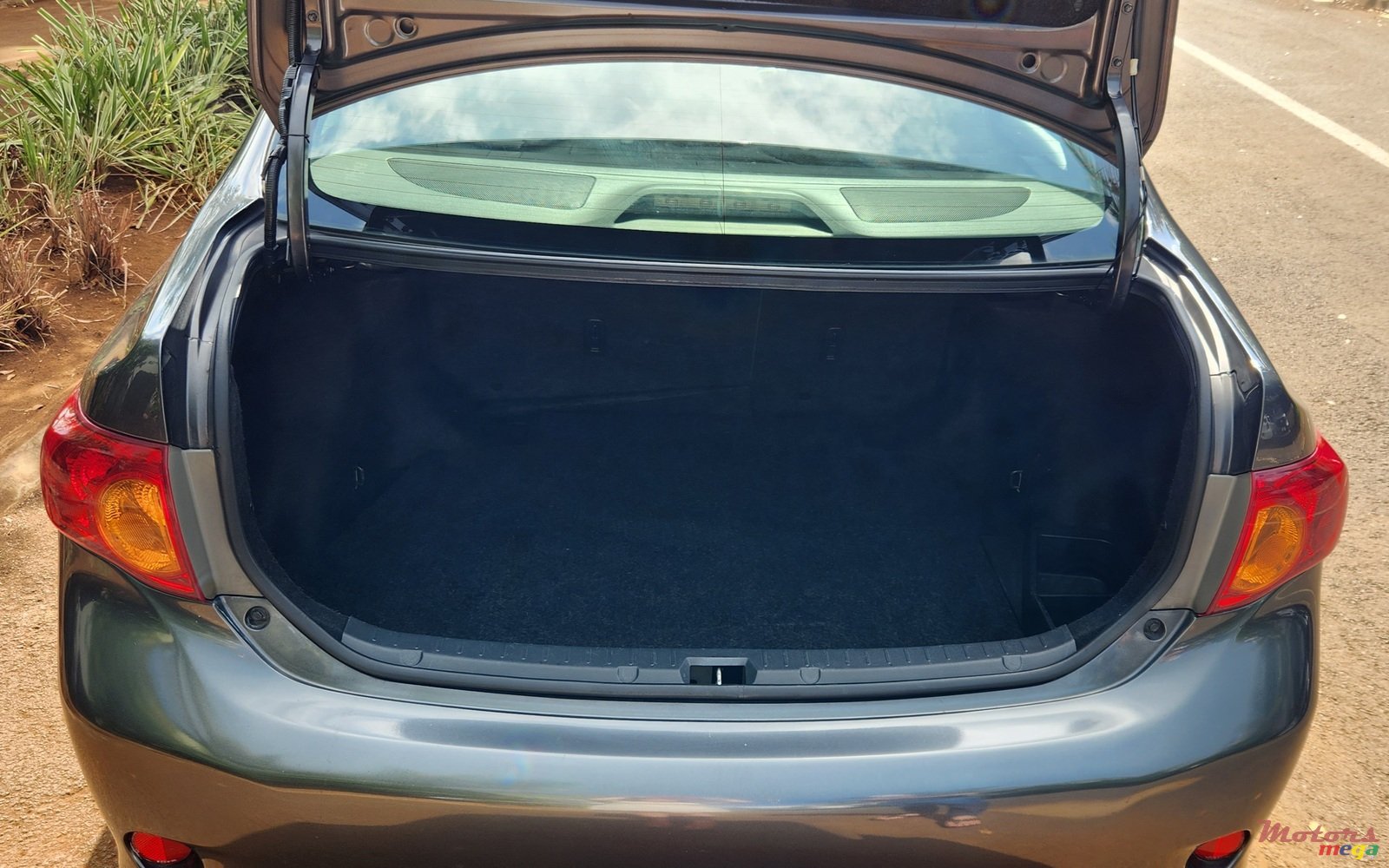 2009' Toyota Corolla photo #4