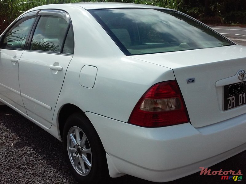 2001' Toyota Corolla photo #1