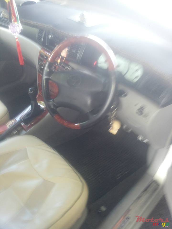 2001' Toyota Corolla NZE photo #6