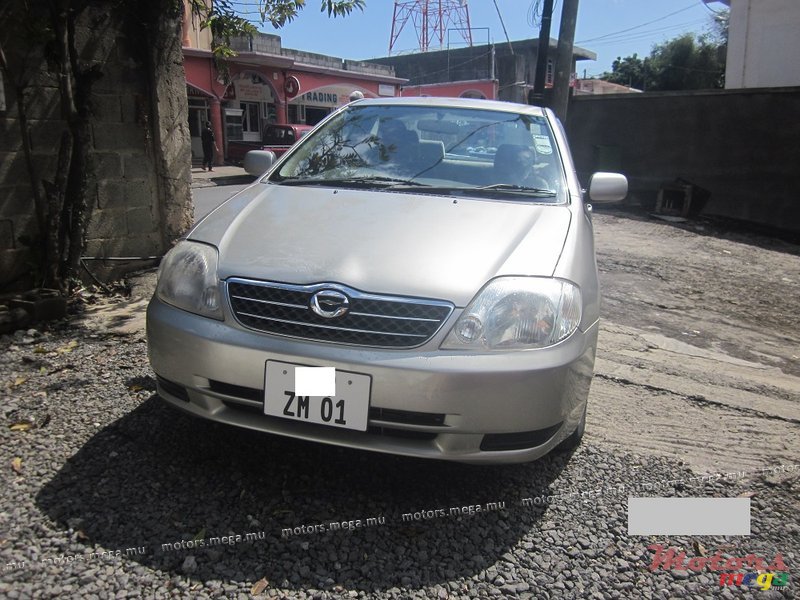 2001' Toyota Corolla NZE photo #1